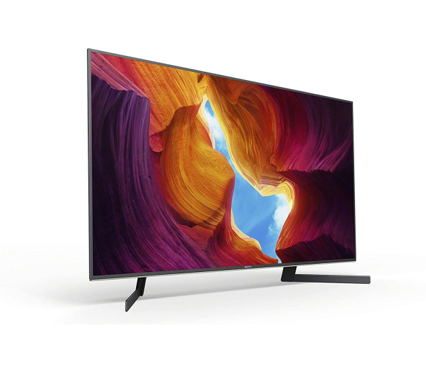 Sony KD-49XH9505 - 578568 - zdjęcie 3